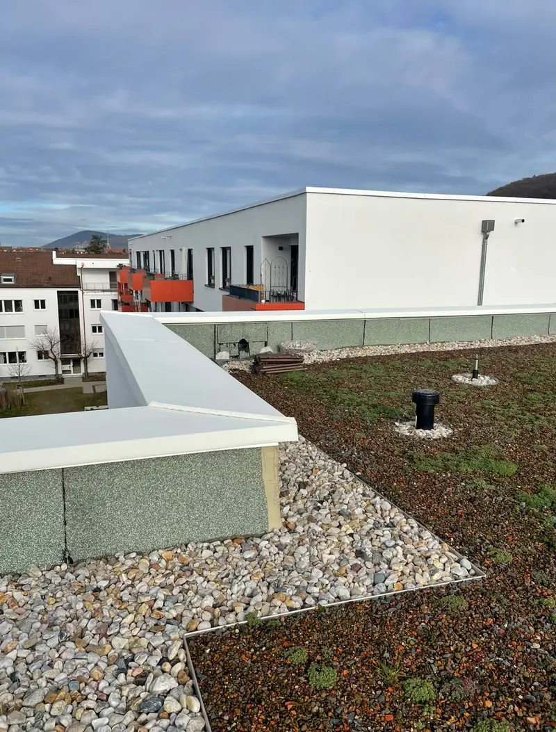 Gründach mit Kiesstreifen und Attikaabdeckung